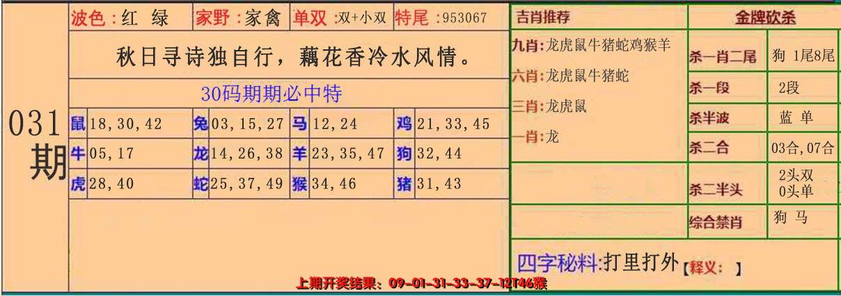 2025031期30码中特