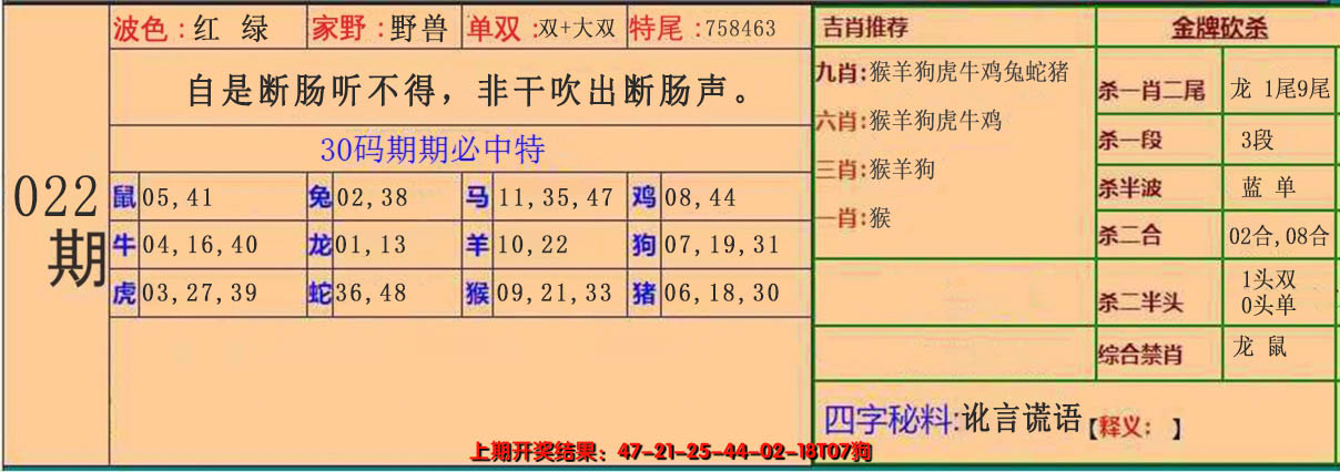 2025022期30码中特