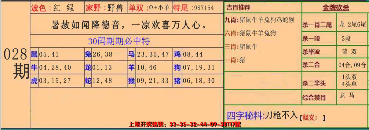 2025028期30码中特