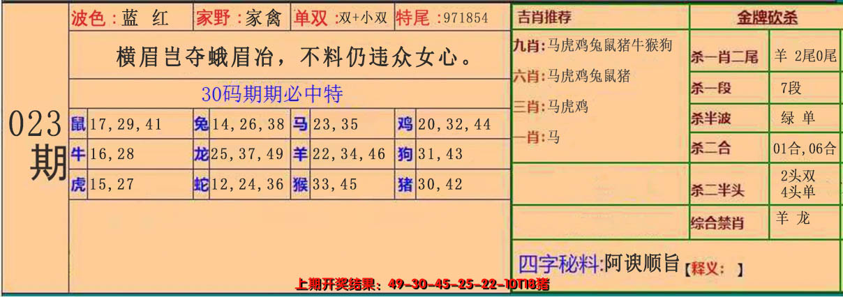 2025023期30码中特