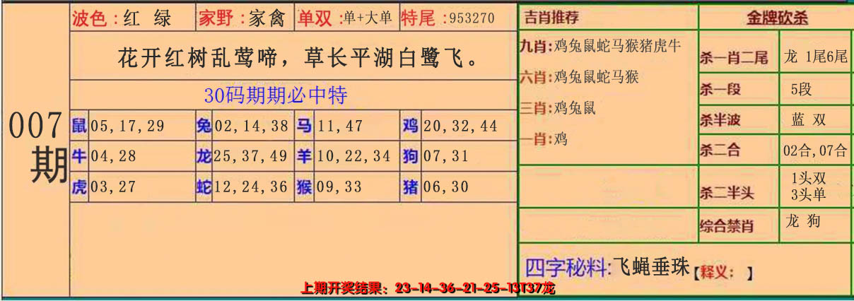 2025007期30码中特