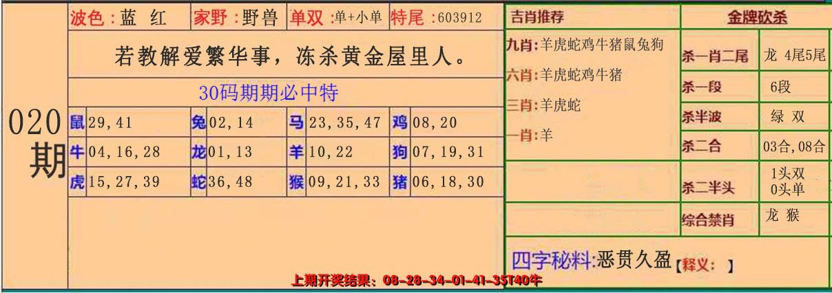 2025020期30码中特