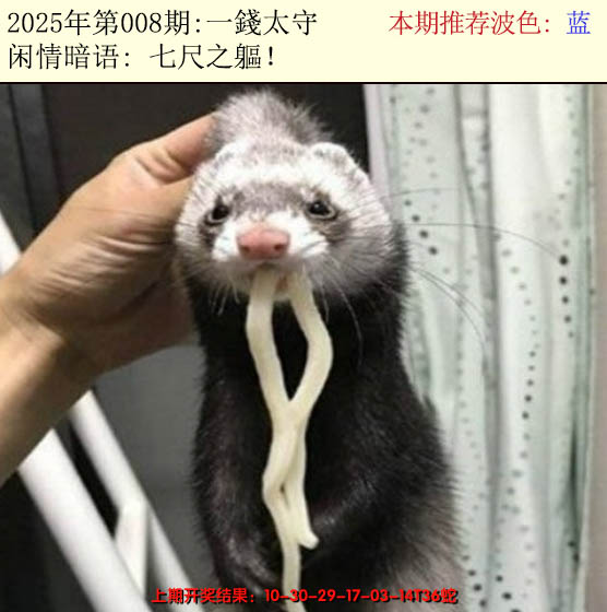 2025008期今日闲情2
