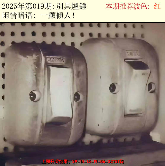 2025019期今日闲情2