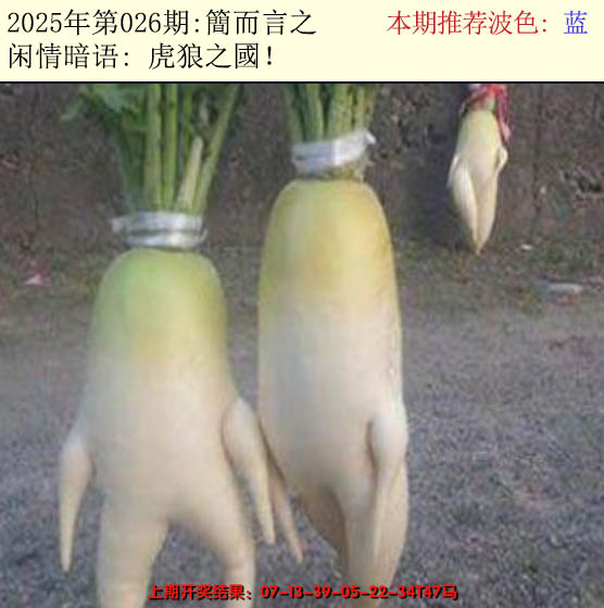 2025026期今日闲情2