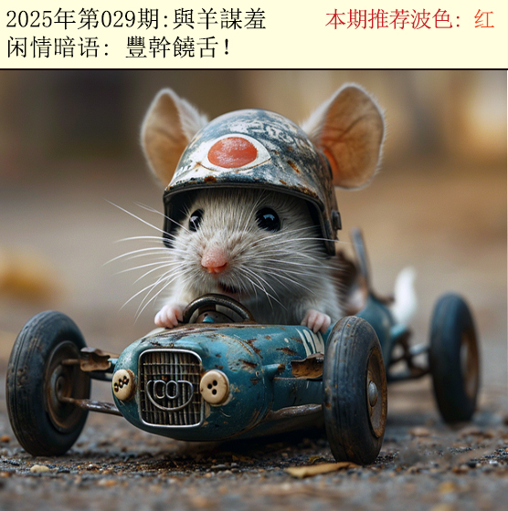 2025029期今日闲情2