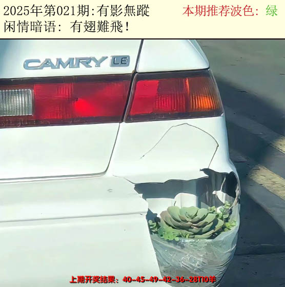 2025021期今日闲情2