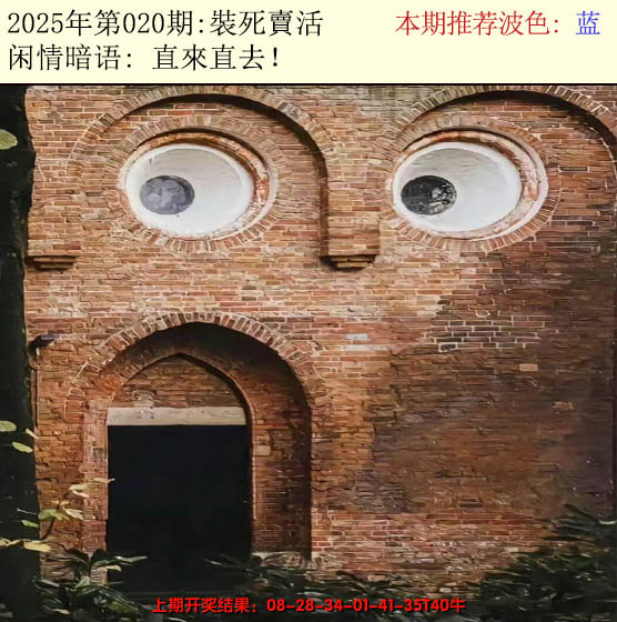 2025020期今日闲情2