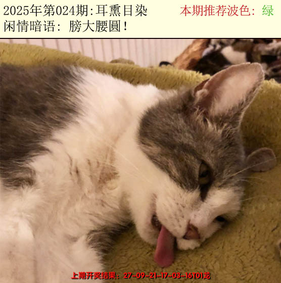 2025024期今日闲情2