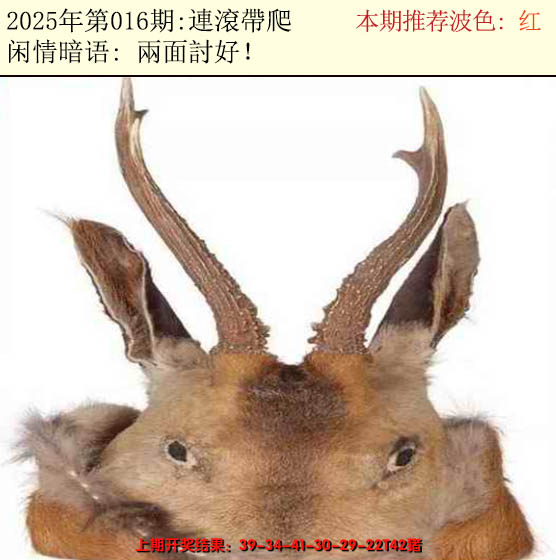 2025016期今日闲情2