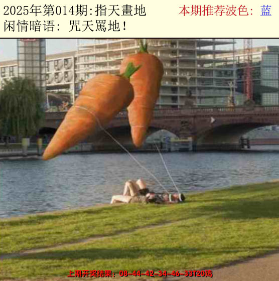 2025014期今日闲情2