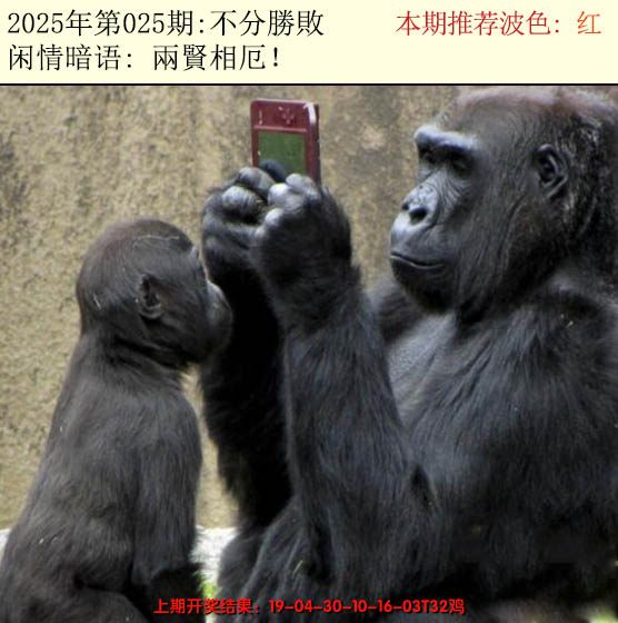 2025025期今日闲情2