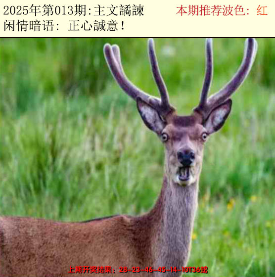 2025013期今日闲情2
