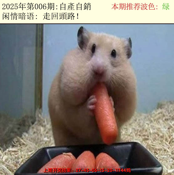2025006期今日闲情2