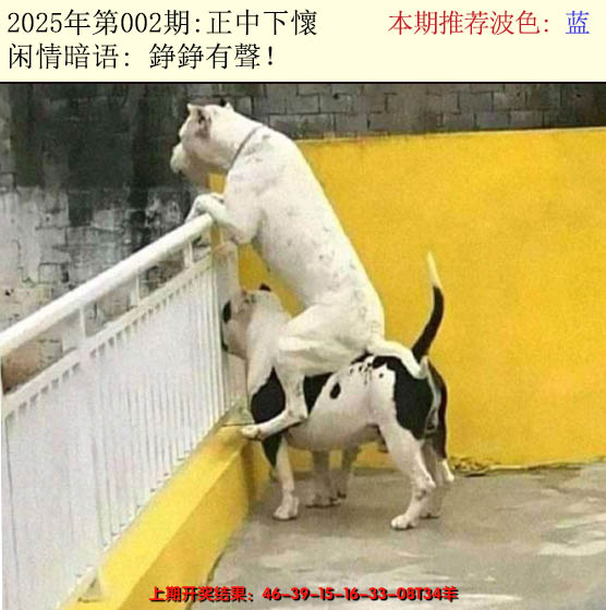 2025002期今日闲情2