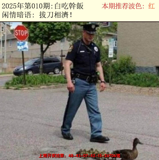 2025010期今日闲情2