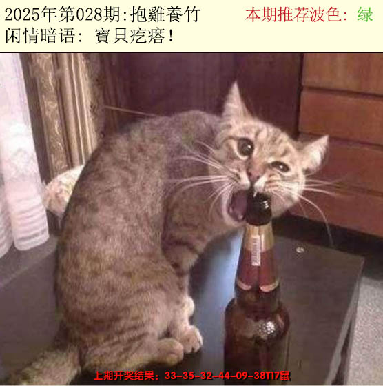 2025028期今日闲情2