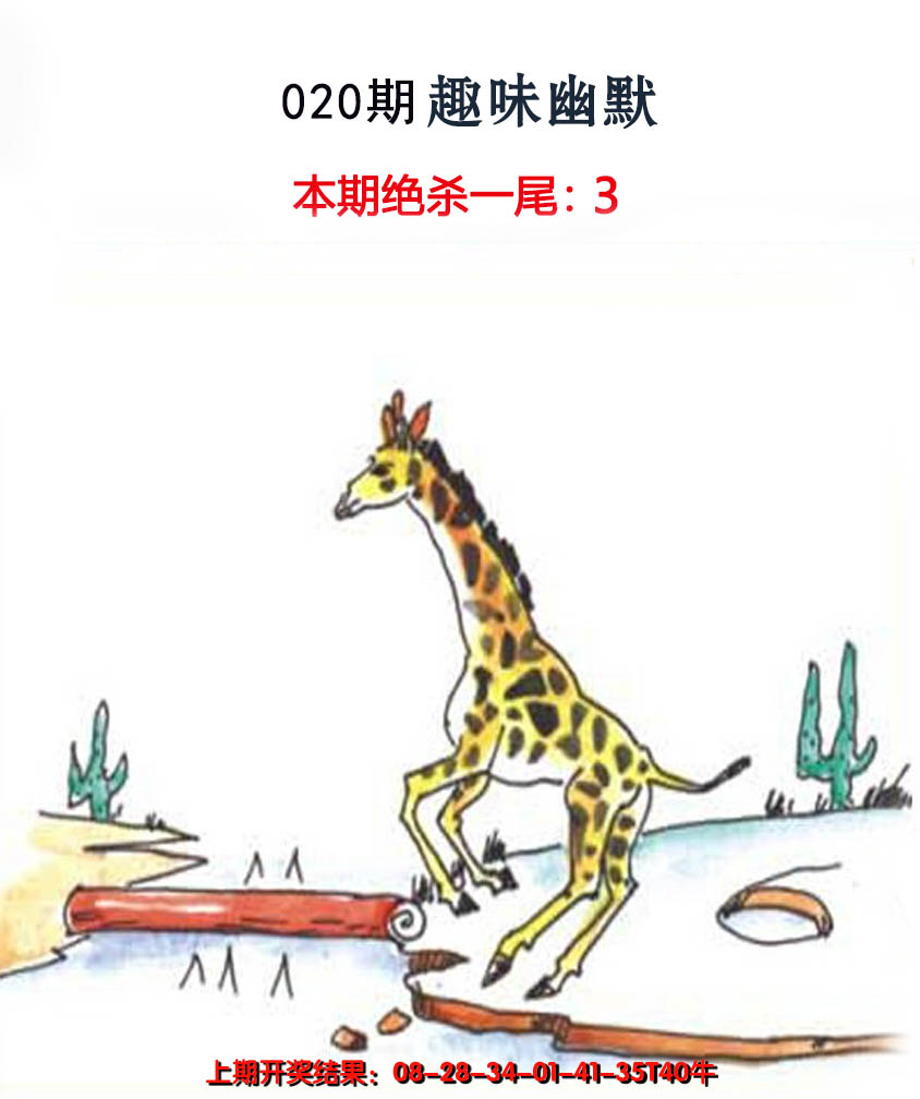 2025020期趣味幽默