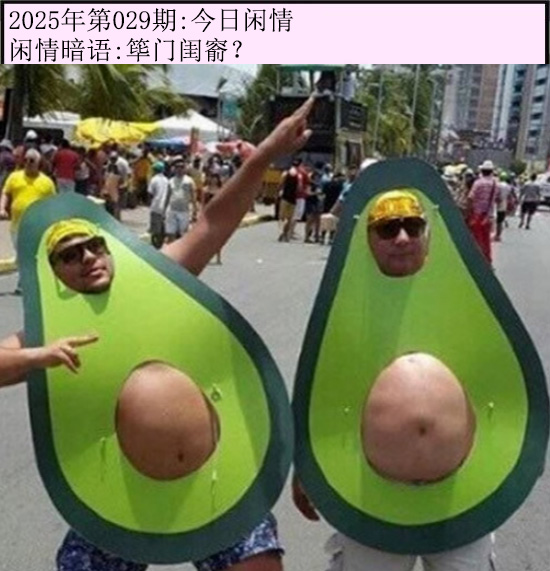 2025029期今日闲情