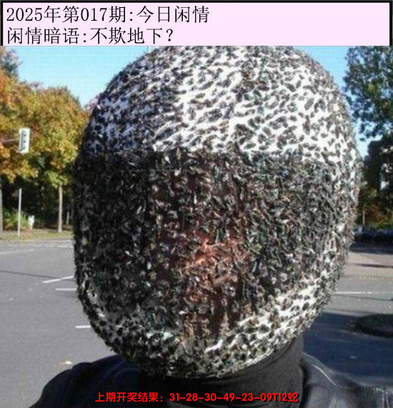 2025017期今日闲情