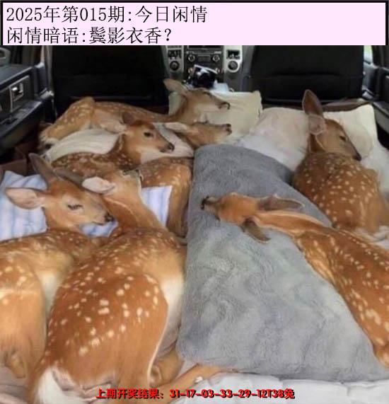 2025015期今日闲情