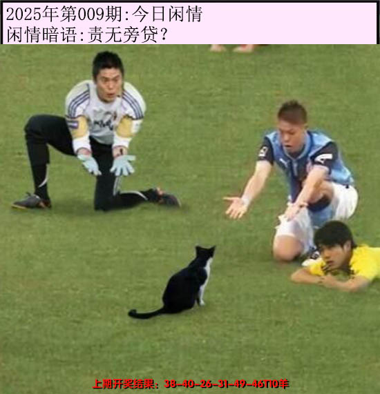 2025009期今日闲情