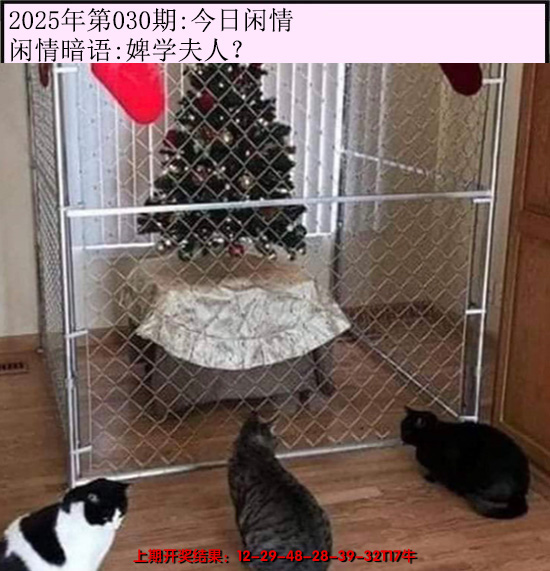 2025030期今日闲情