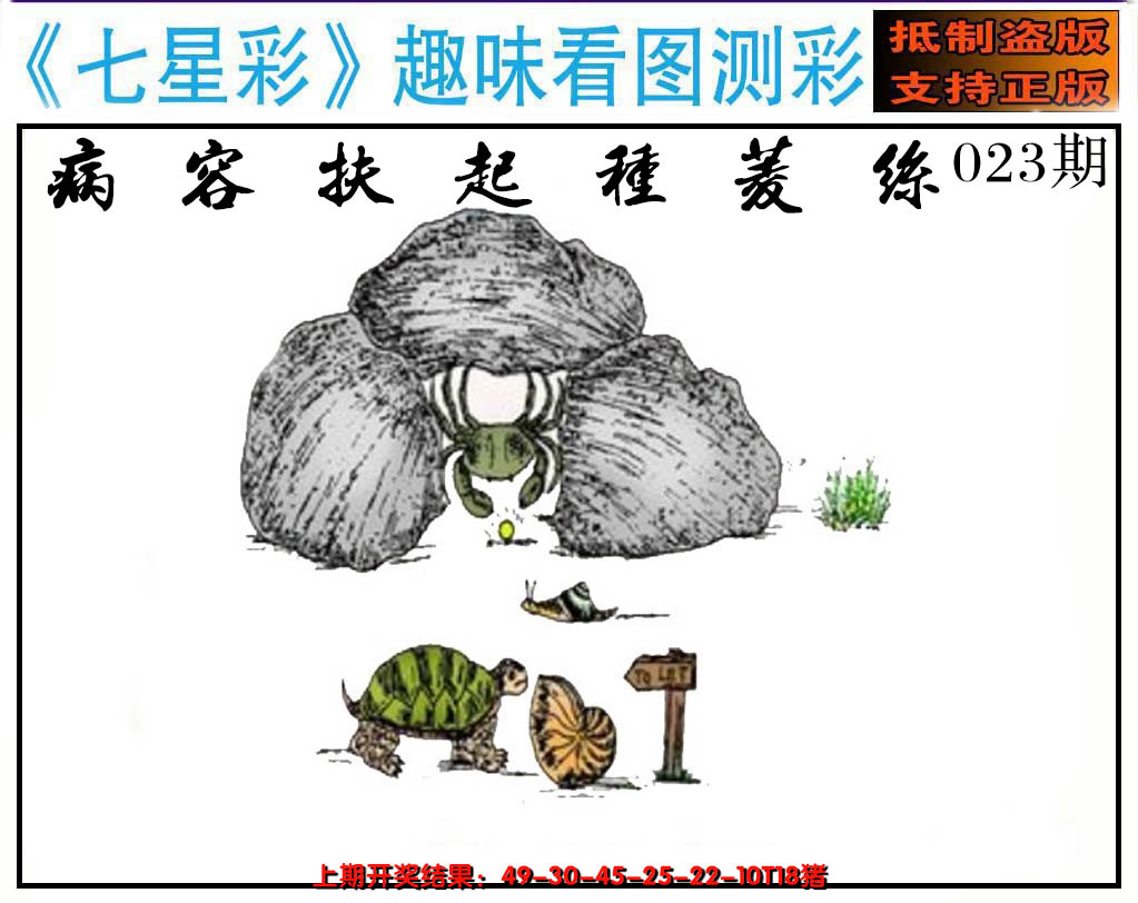 2025023期澳版七星彩图
