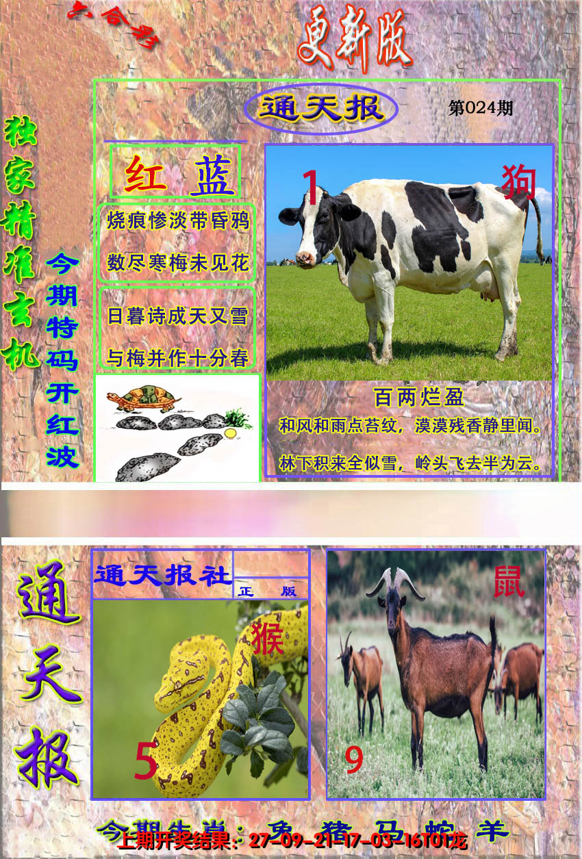 2025024期新通报