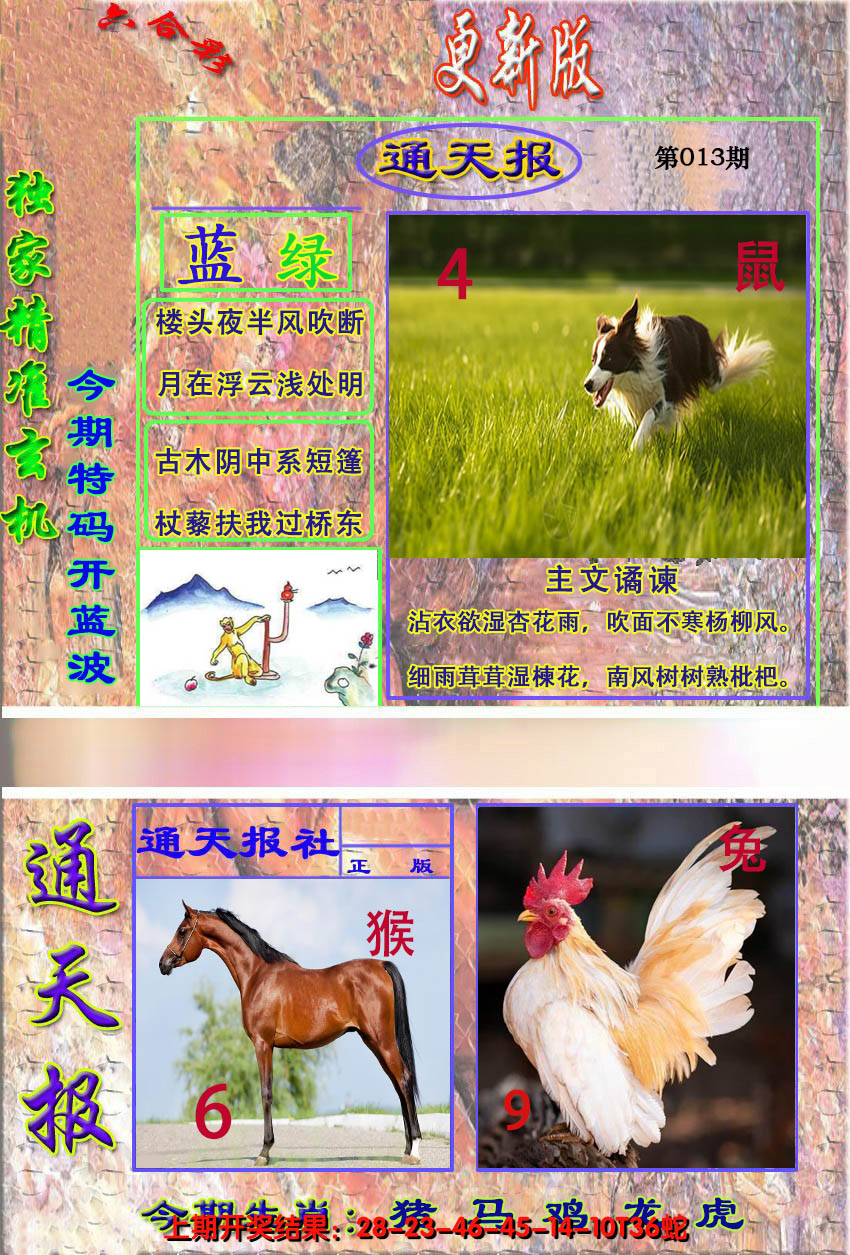2025013期新通报