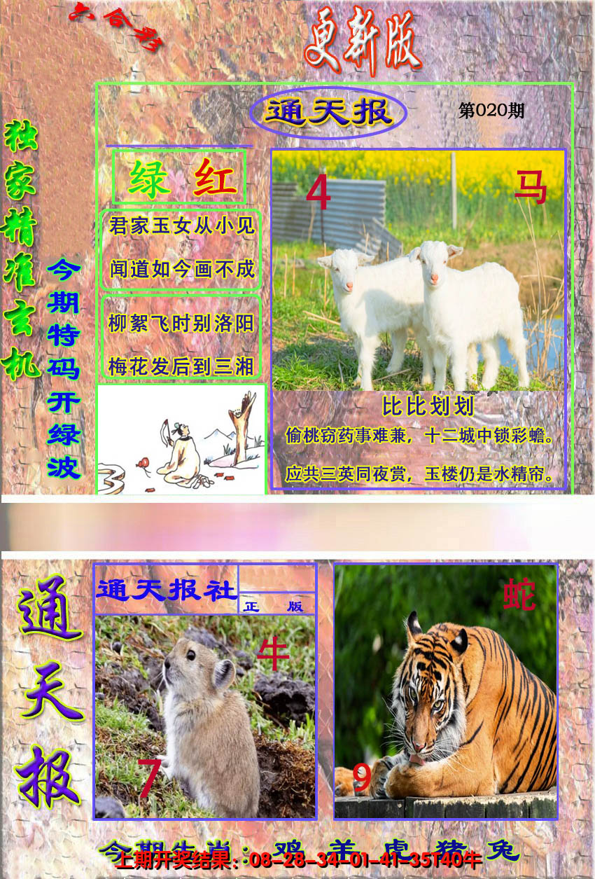 2025020期新通报