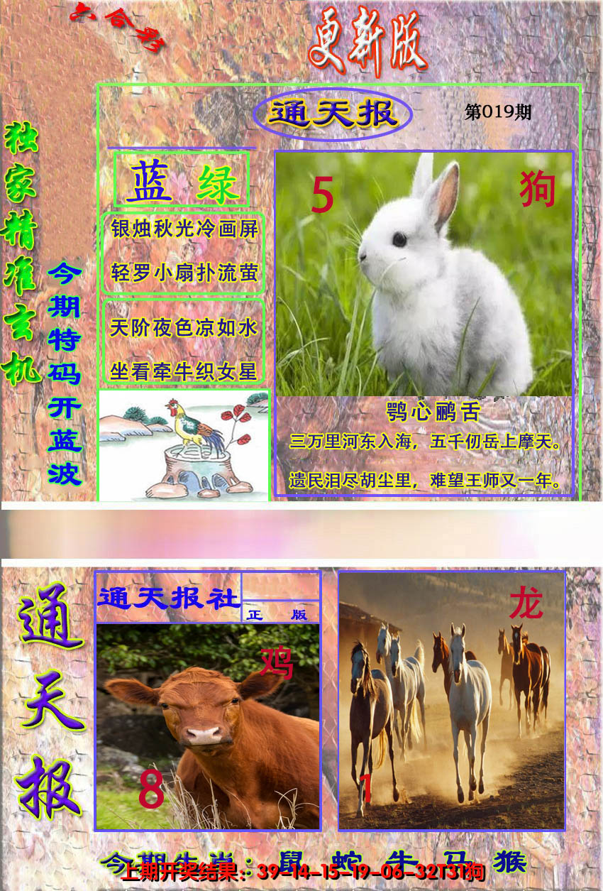 2025019期新通报