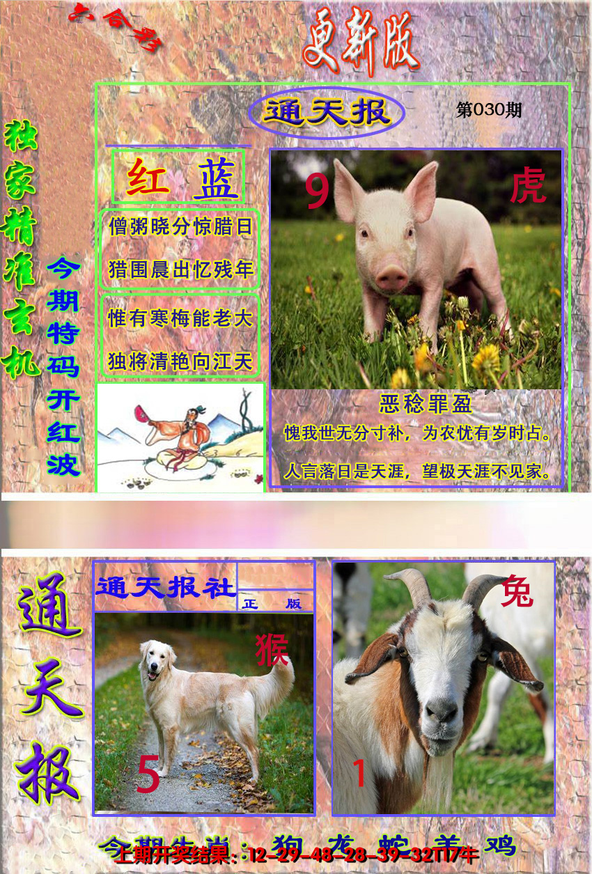 2025030期新通报