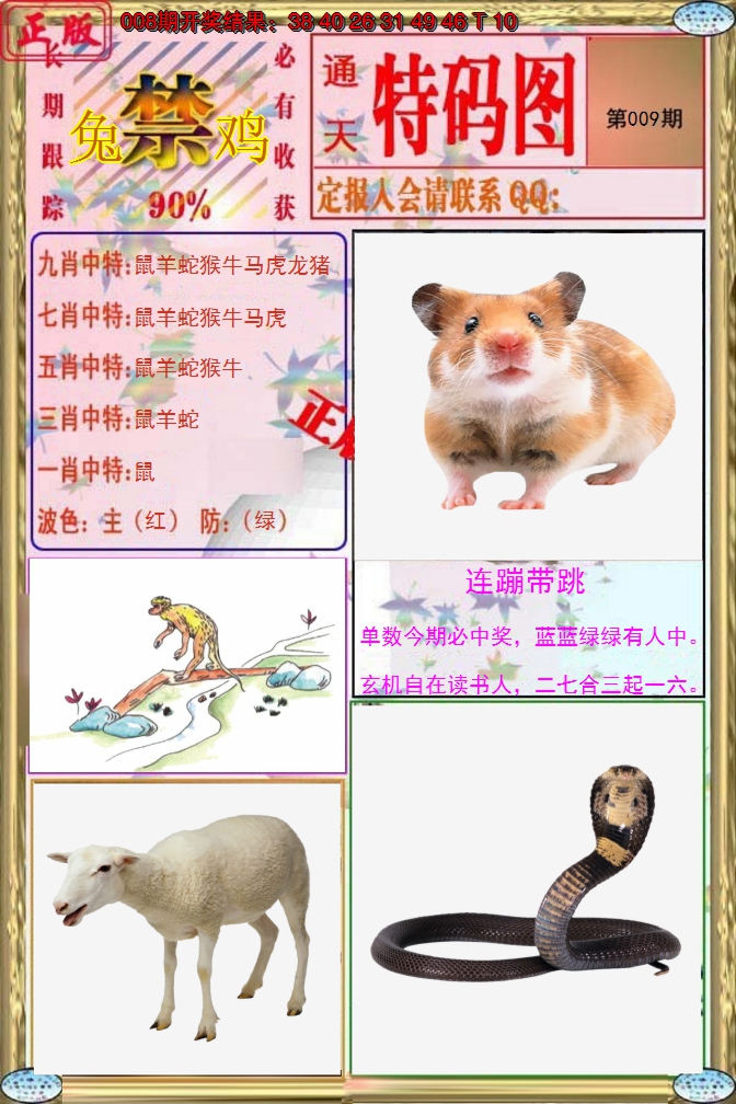 2025009期特码图