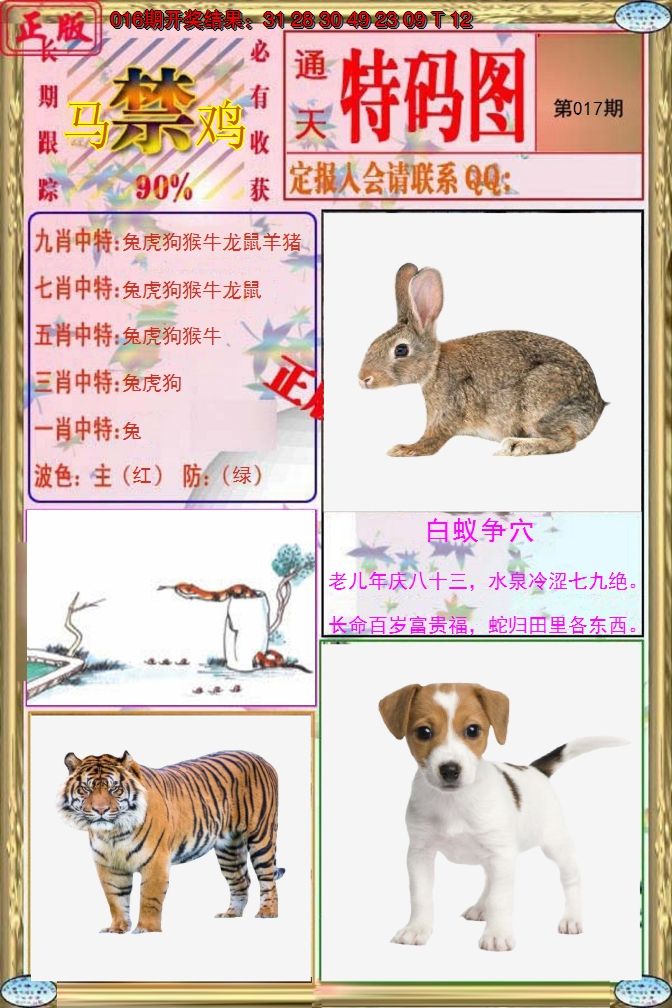 2025017期特码图