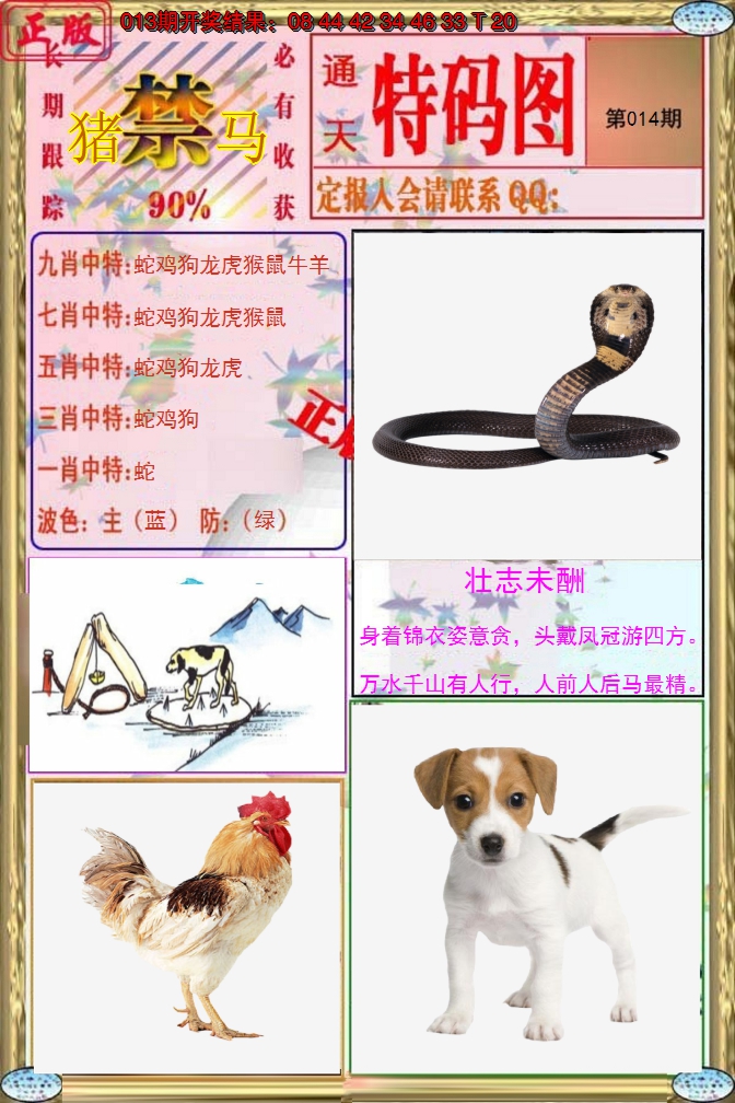 2025014期特码图