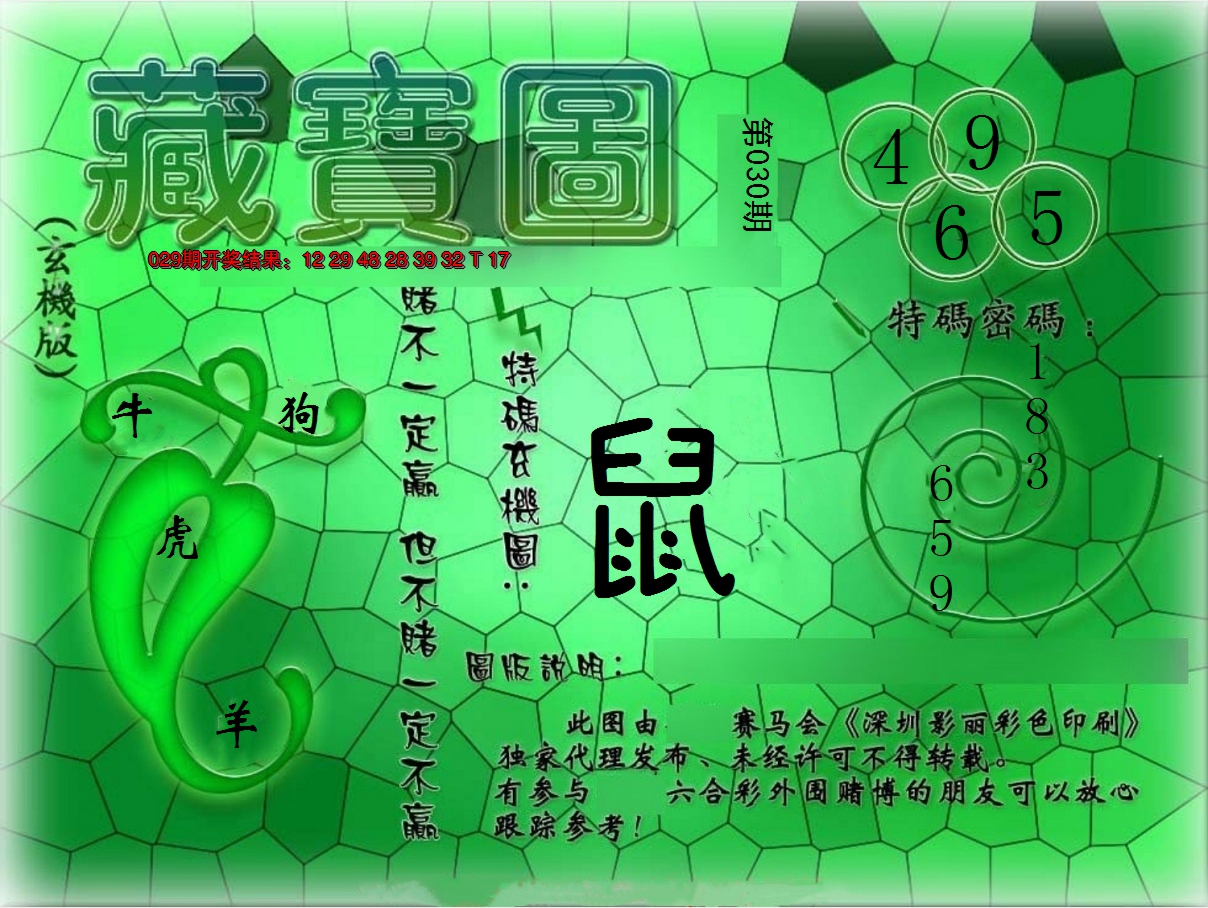 2025030期九龍玄机报