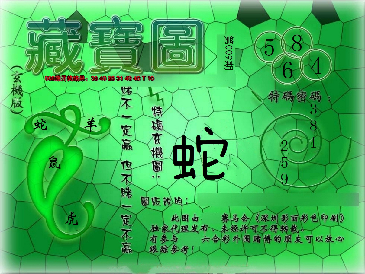 2025009期九龍玄机报
