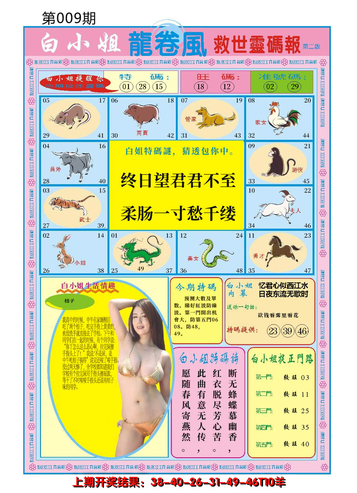 2025009期白小姐龙卷风B