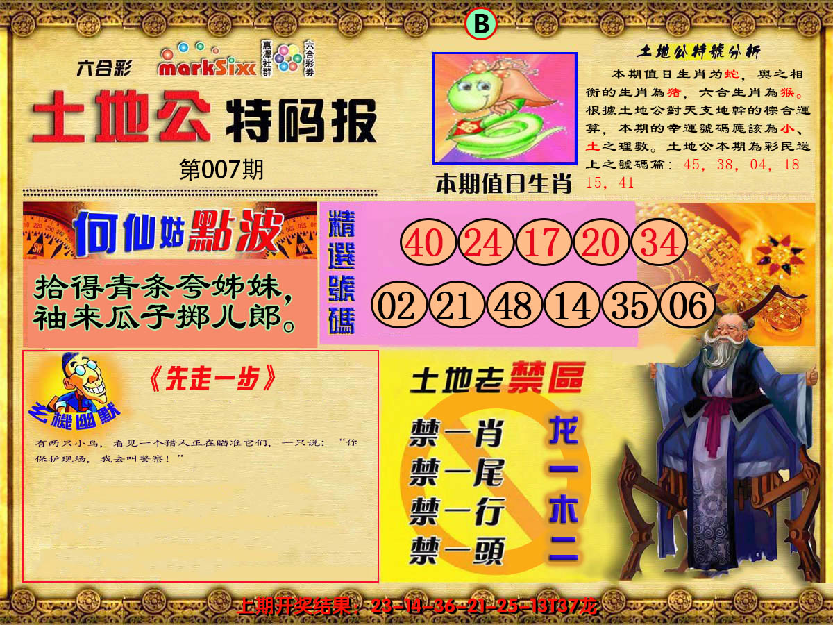 2025007期土地公特码报B