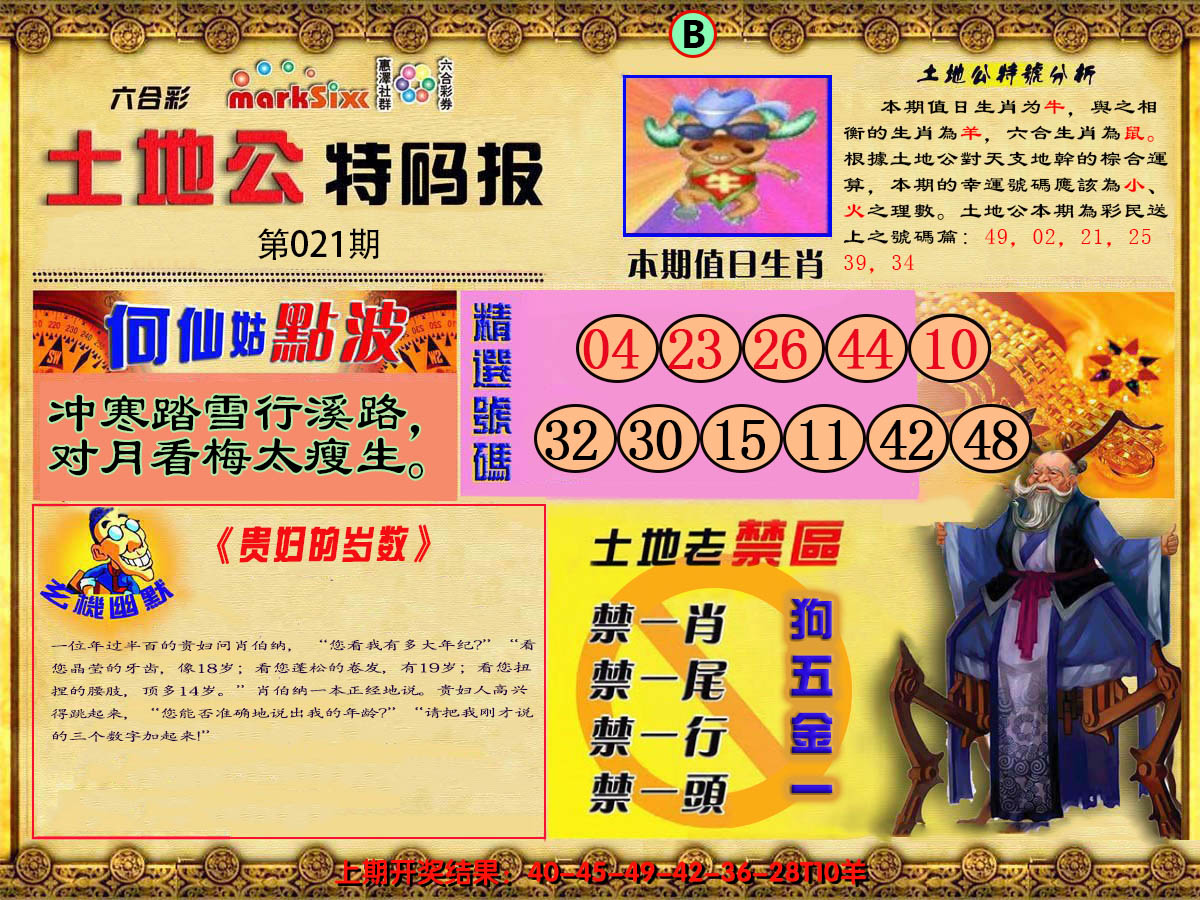 2025021期土地公特码报B