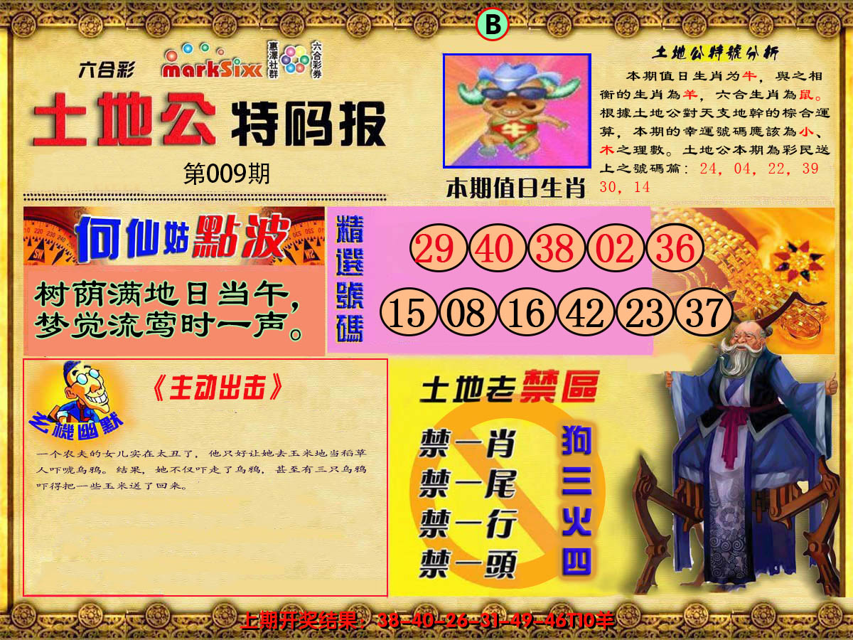 2025009期土地公特码报B