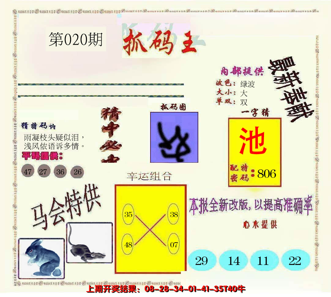 2025020期新抓码王