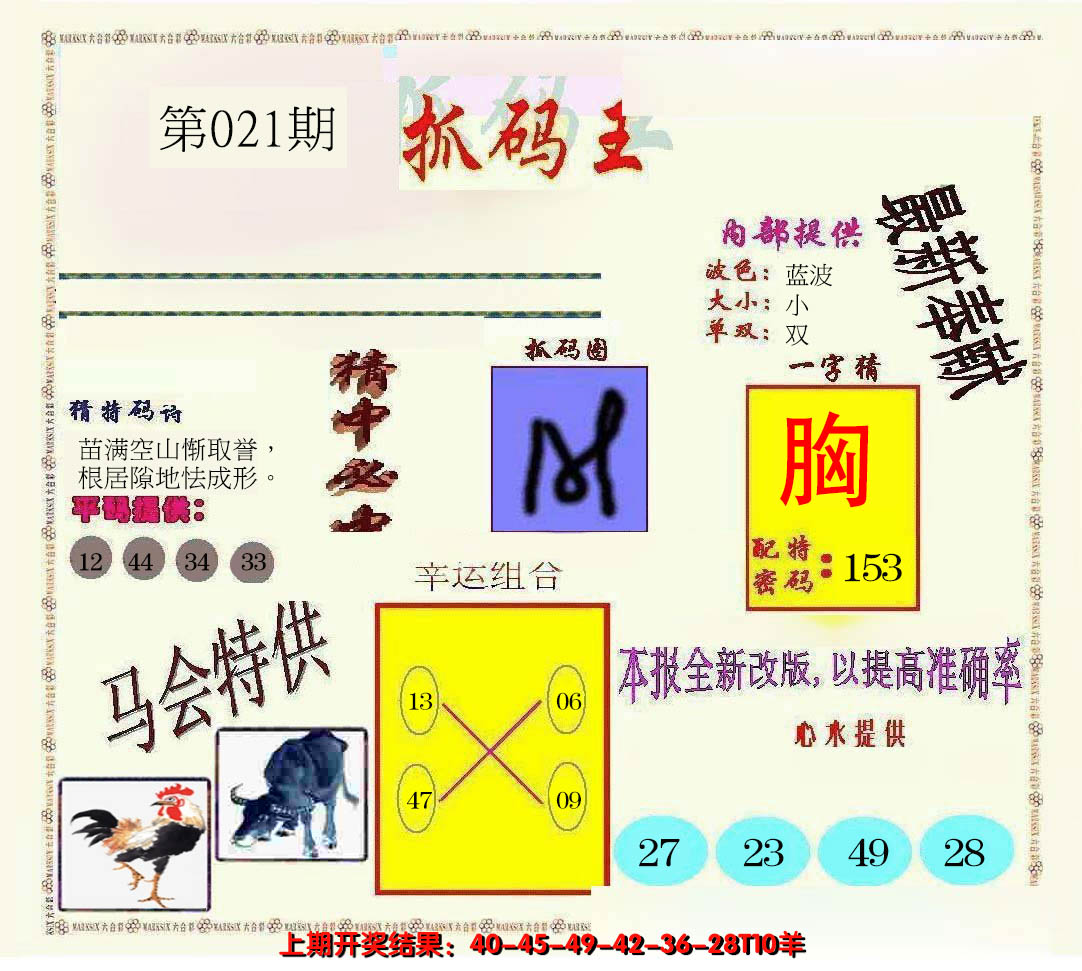 2025021期新抓码王