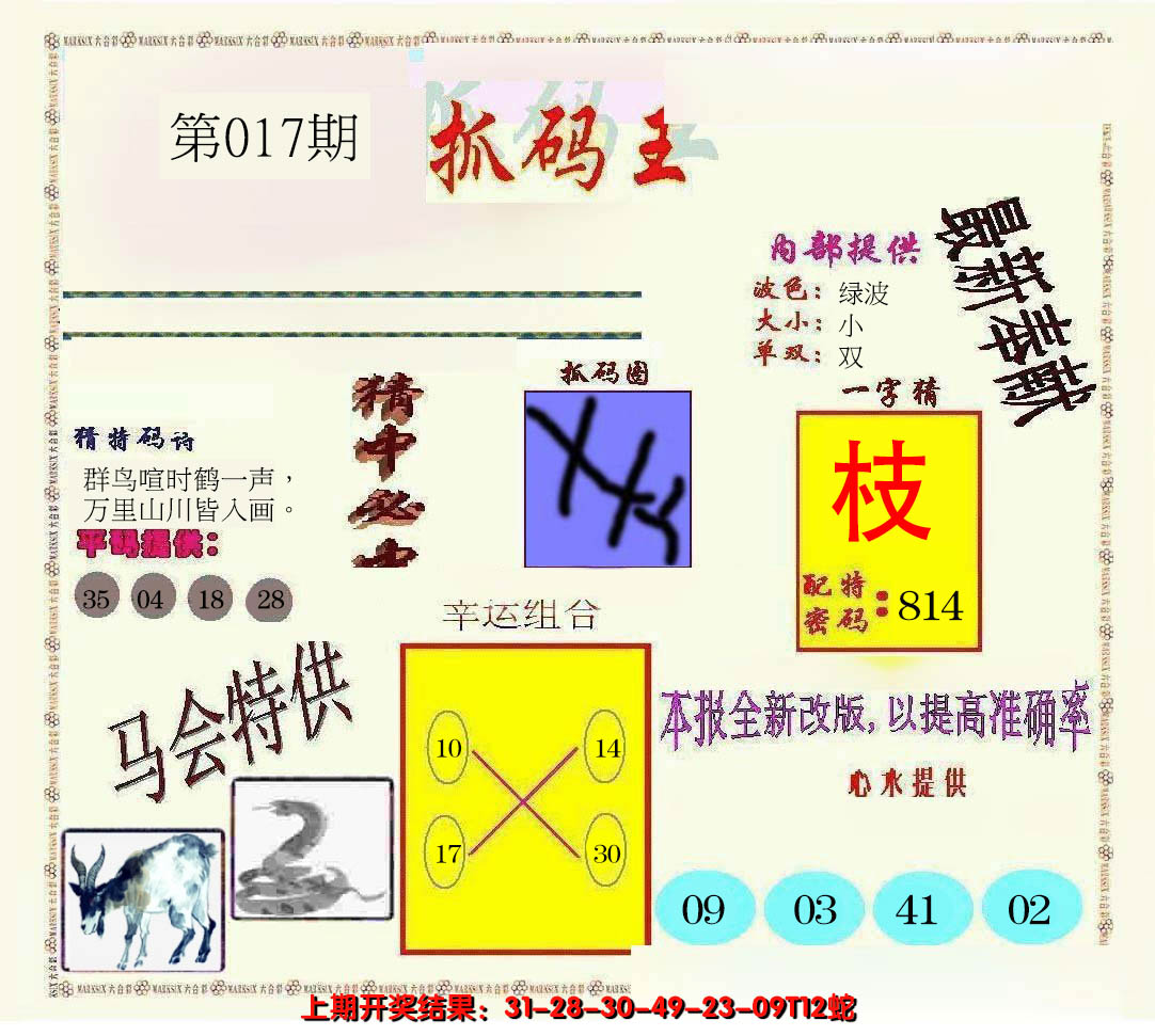2025017期新抓码王