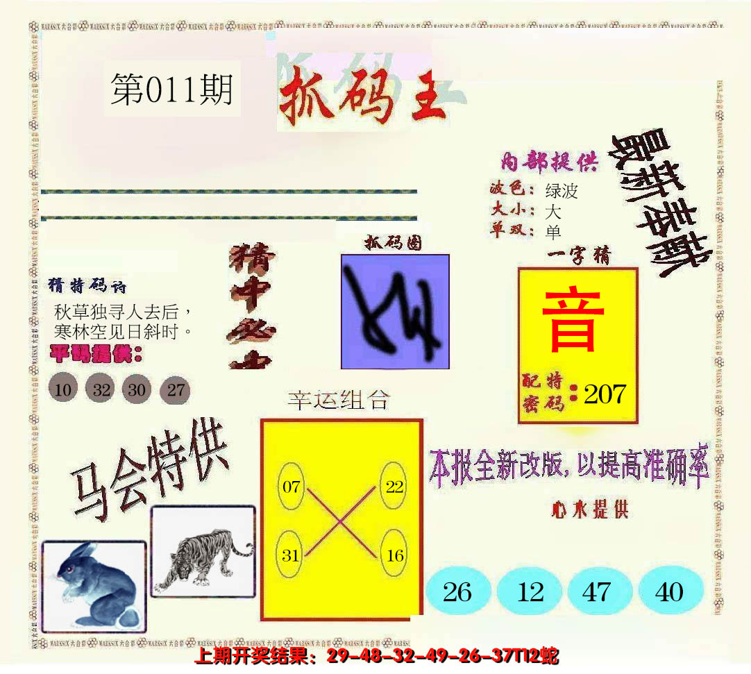 2025011期新抓码王
