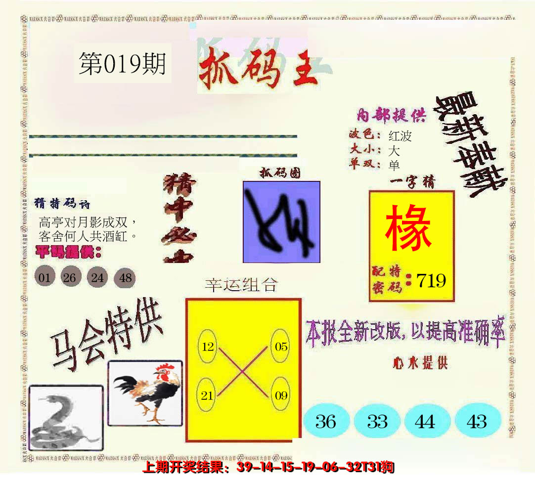 2025019期新抓码王