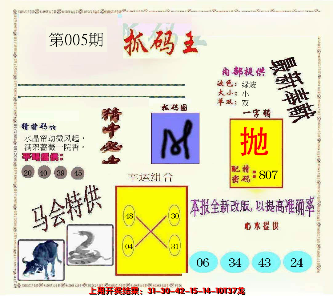 2025005期新抓码王