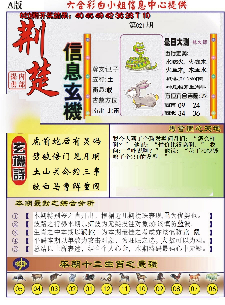 2025021期荆楚信息玄机A
