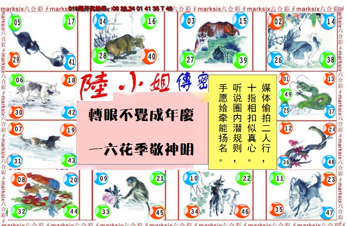2025020期陆小姐传密B